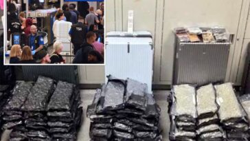 staggering-drug-haul-found-at-orlando-airport-after-bizarre-attempt-to-hide-evidence