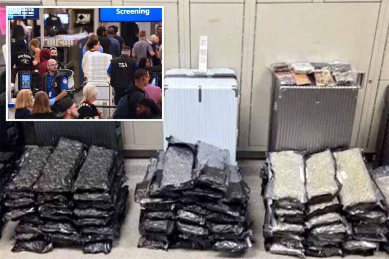 staggering-drug-haul-found-at-orlando-airport-after-bizarre-attempt-to-hide-evidence