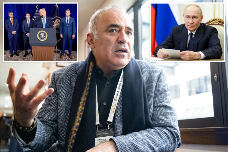 kremlin-critic,-chess-legend-garry-kasparov-says-us-warned-him-of-assassination-threat