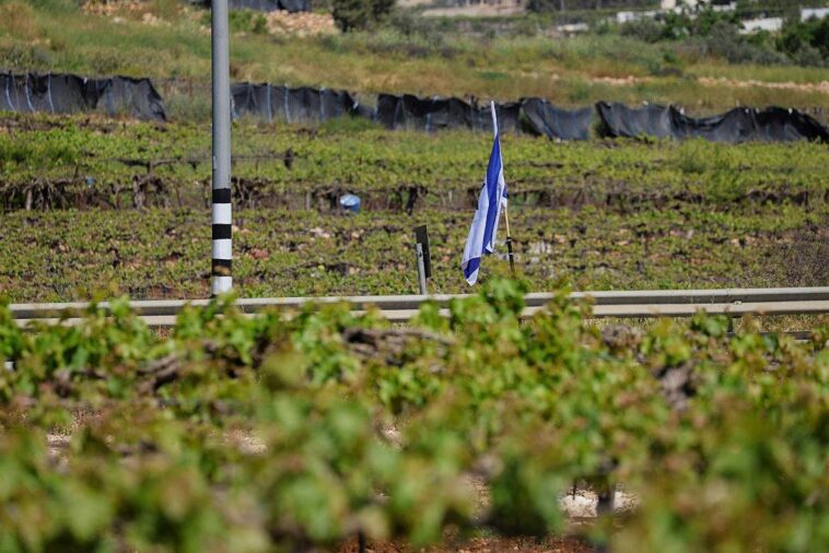 biblical-backstab:-house-dems-launch-economic-war-on-israel’s-ancient-heartland
