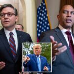 gop-has-shocking-slim-edge-over-dems-on-affordability-with-‘swing’-voters,-conservative-group-finds