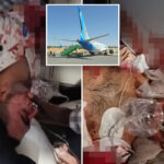 accused-plane-hijacker-is-religious-extremist-who-refused-to-shake-women’s-hands:-‘we-hired-a-terrorist’