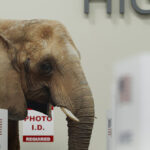 gop-ramps-up-senate-ad-spending-across-seven-states