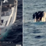 race-against-time-to-save-crew-after-colossal,-rarely-seen-deep-sea-beasts-smash-up-yacht-in-pacific