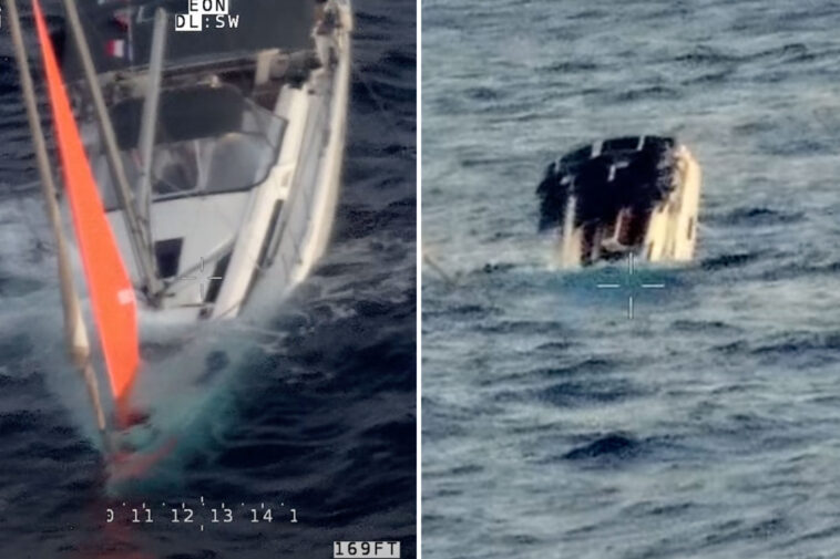 race-against-time-to-save-crew-after-colossal,-rarely-seen-deep-sea-beasts-smash-up-yacht-in-pacific
