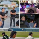 harvard-harris-poll:-77-percent-want-all-migrant-criminals-deported