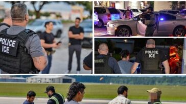 harvard-harris-poll:-77-percent-want-all-migrant-criminals-deported