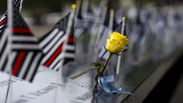 at-the-request-of-families,-trump-weighs-declassification-of-9/11-records-amid-growing-calls-for-transparency