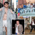 harry-styles-look-alikes-compete-for-msg-tix-in-vibes-heavy-doppelganger-contest