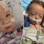 toddler-vomited-blue-green-bile-and-nearly-died-after-consuming-controversial-drink