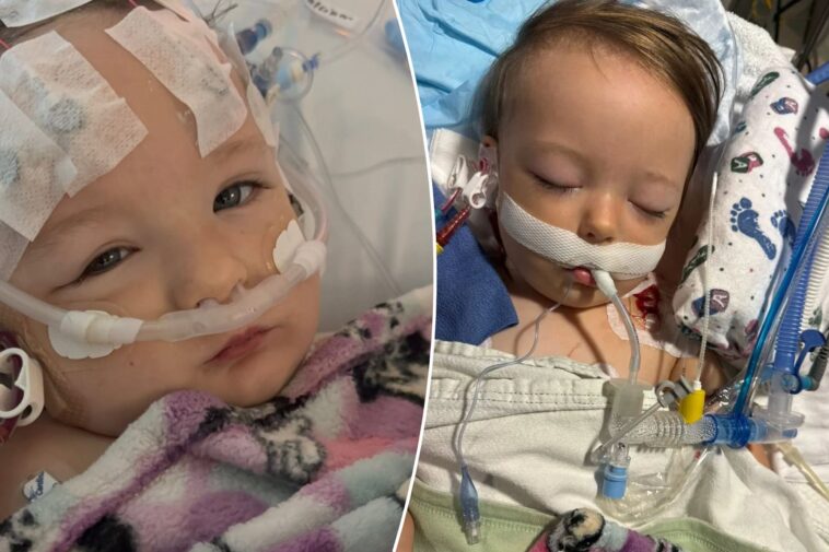 toddler-vomited-blue-green-bile-and-nearly-died-after-consuming-controversial-drink