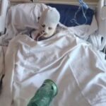 california-woman-left-with-horrific-injuries-after-being-covered-in-gas-and-set-on-fire-during-wild-fight