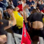 yankees-red-sox-fan-brawl-sees-big-punches-in-chaotic-wild-card-scene
