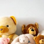 anthropic-co-founder-daniela-amodei-kept-‘personal-advisory-council’-of-stuffed-animals-to-solve-problems
