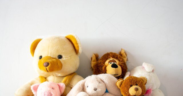 anthropic-co-founder-daniela-amodei-kept-‘personal-advisory-council’-of-stuffed-animals-to-solve-problems