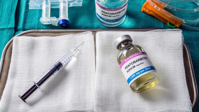what-to-know-about-pentobarbital-after-death-row-inmate-survives-2-lethal-injection-doses