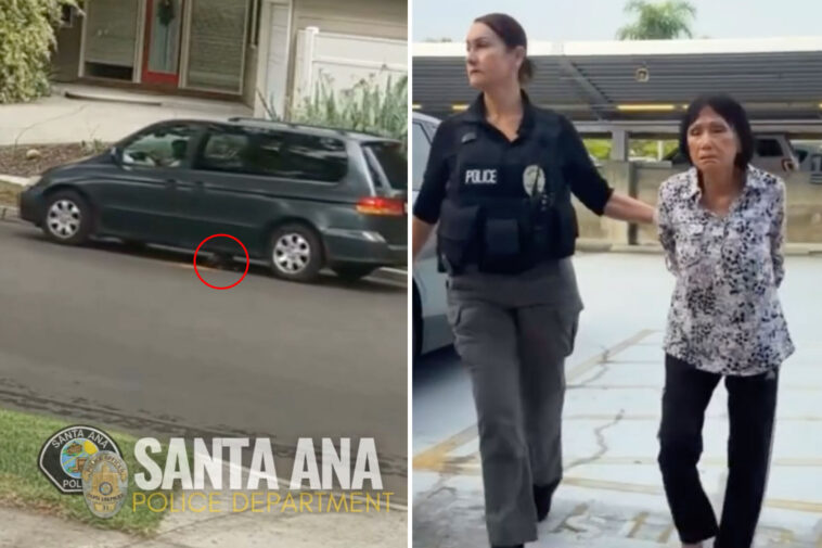 socal-accused-puppy-crusher-unmasked-after-sick-video-of-her-luring-dog-under-minivan