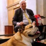 gop-senator-who-had-a-party-for-his-dog-last-week-complains-ice-is-‘dragging-people-away’
