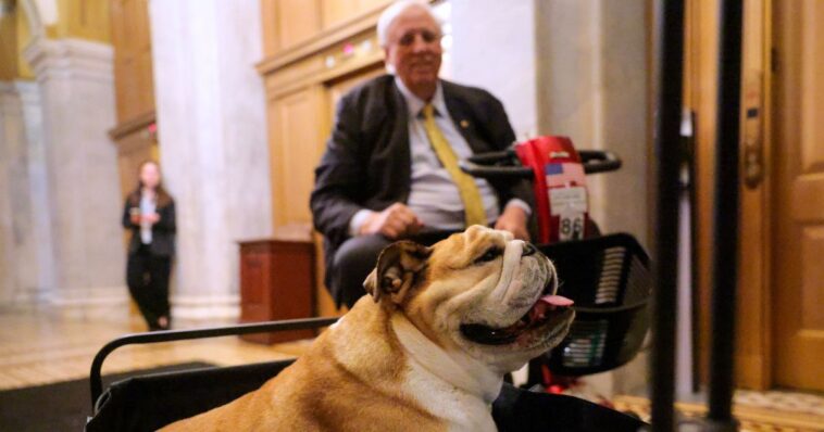 gop-senator-who-had-a-party-for-his-dog-last-week-complains-ice-is-‘dragging-people-away’