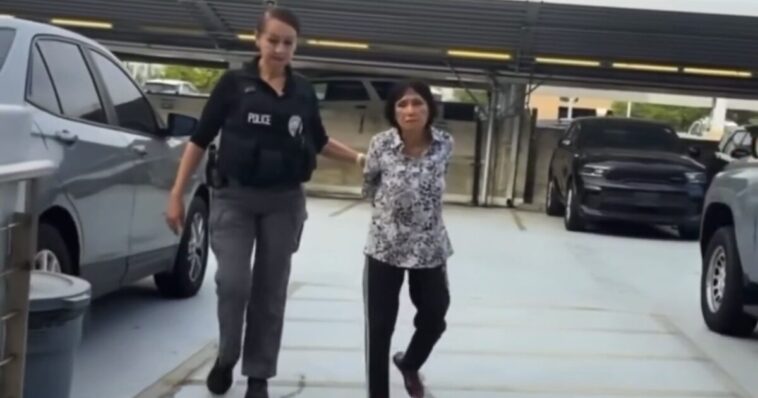 socal:-elderly-orange-county-woman-arrested-for-dumping-puppy-on-the-street,-then-running-over-it-with-minivan-(video)