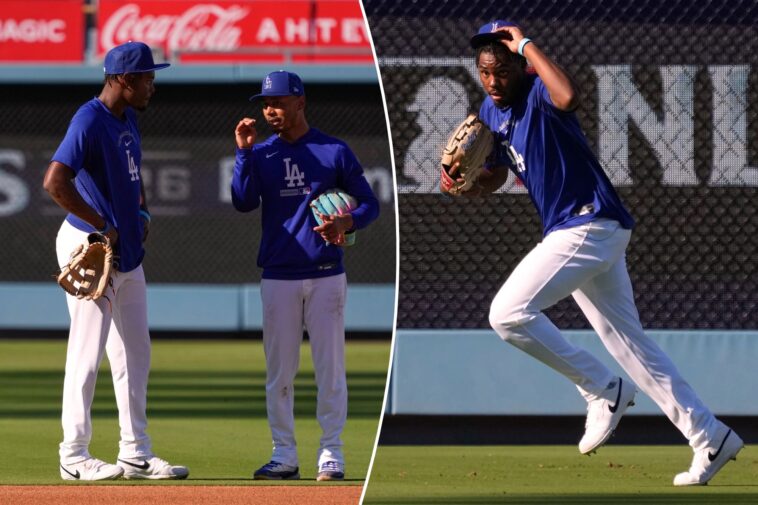 josue-de-paula-ready-to-help-dodgers-in-playoffs-after-‘crazy’-rise
