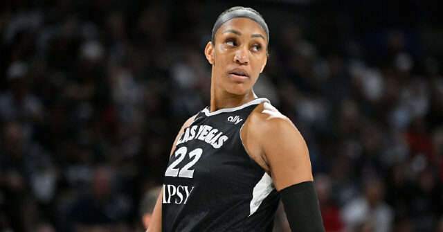 wnba-folds,-refuses-to-punish-a’ja-wilson-for-leaving-the-floor-and-angrily-confronting-fan
