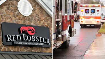 georgia-diner-calls-911-to-try-to-dodge-$63-red-lobster-bill,-cops-say