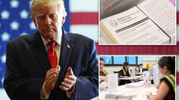 dnc-sues-trump-admin-over-voting-change-for-americans-abroad