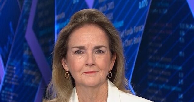 dem-rep.-dean: data-center-electricity-bill-i-voted-for-is-‘too-little,-too-late’