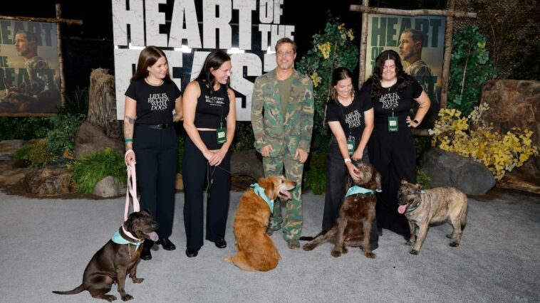 bright-side:-bring-the-tissues-for-brad-pitt’s-new-movie