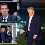trump-accuses-fellow-republican-of-denying-americans-extra-hour-of-daylight:-‘have-to-get-moving’