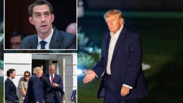 trump-accuses-fellow-republican-of-denying-americans-extra-hour-of-daylight:-‘have-to-get-moving’