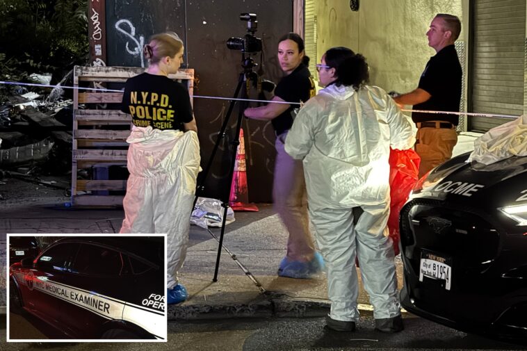 burned-corpse-mysteriously-found-at-vacant-nyc-lot:-cops,-sources