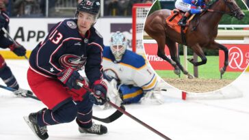 horses-named-for-late-nhler-johnny-gaudreau-set-to-face-off-at-belmont-park