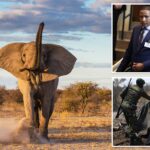 botswana-approves-killing-of-23-elephants-for-independence-celebrations