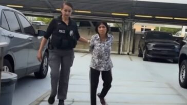 orange-county-district-attorney-throws-the-book-at-woman-who-ran-over-puppy-with-minivan