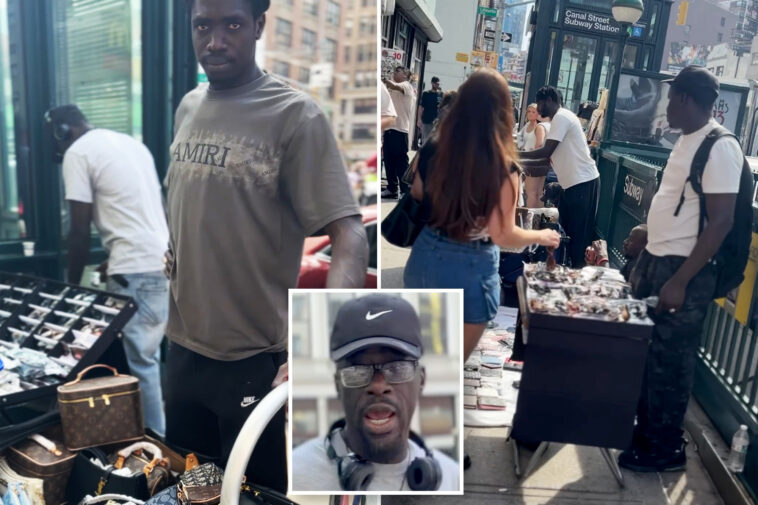 a-canal-street-vendor-violently-knocked-my-phone-away-as-i-exposed-the-illegal-activities-flooding-chinatown