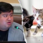 blue-state-councilman-mocked-after-claiming-self-driving-cars-are-‘murdering’-pets:-‘hide-your-cats’