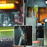 california-city-suspends-weekend-service-after-bus-driver-fatally-shot