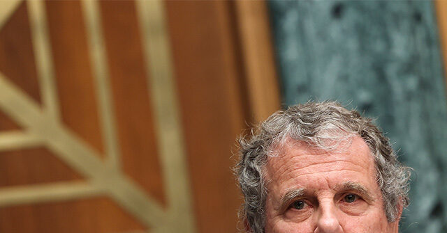 exclusive-—-bernie-moreno:-‘political-cicada’-sherrod-brown-‘uniquely-unlikeable’-and-‘void-of-all-joy’