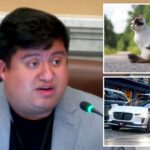 minneapolis-councilman-mocked-after-claiming-self-driving-cars-are-‘murdering’-pets:-‘hide-your-cats’