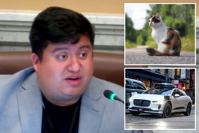 minneapolis-councilman-mocked-after-claiming-self-driving-cars-are-‘murdering’-pets:-‘hide-your-cats’
