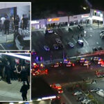 at-least-2-dead,-dozens-detained-after-shooting-at-strip-mall-near-la-university