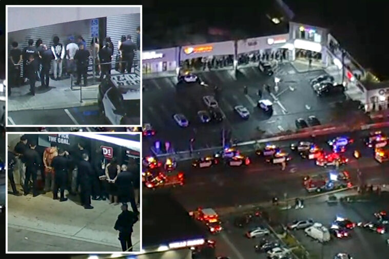 at-least-2-dead,-dozens-detained-after-shooting-at-strip-mall-near-la-university