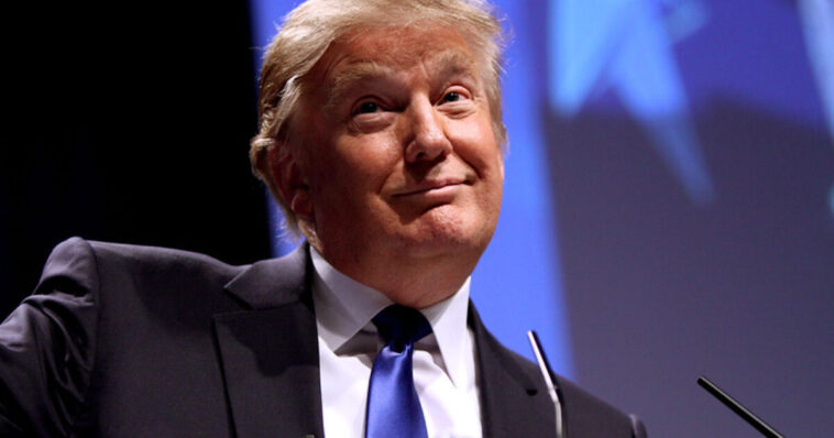 president-trump-announces-surprise-nearly-$100-medicare-payments-for-more-than-20-million-seniors-—-money-coming-within-days-from-democrat-“slush-fund”-that-sat-unused-for-years