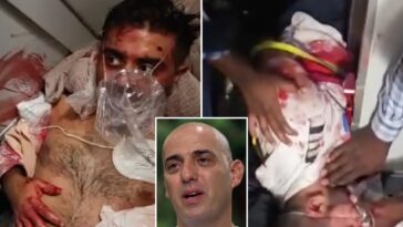 crew-of-hijacked-flydubai-plane-clashed-with-heroic-israeli-passengers,-demanded-tied-up-terror-pilot-be-freed