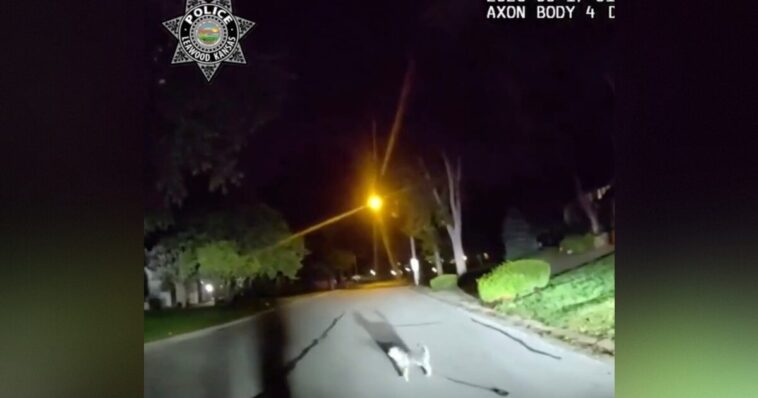 good-boy!-kansas-dog-flags-down-leawood-cop-in-the-street-and-leads-him-straight-to-owner-lying-on-the-garage-floor-for-more-than-three-hours