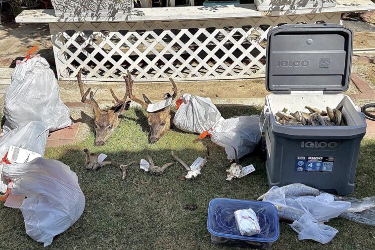 poaching-suspect-reeled-in-staggering-amount-of-black-bass-in-massive-california-wildlife-bust
