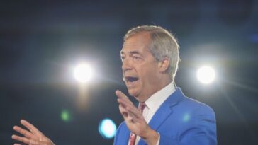 man-accused-of-murdering-ann-widdecombe-charged-with-terror-plot-on-nigel-farage