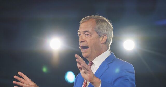 man-accused-of-murdering-ann-widdecombe-charged-with-terror-plot-on-nigel-farage